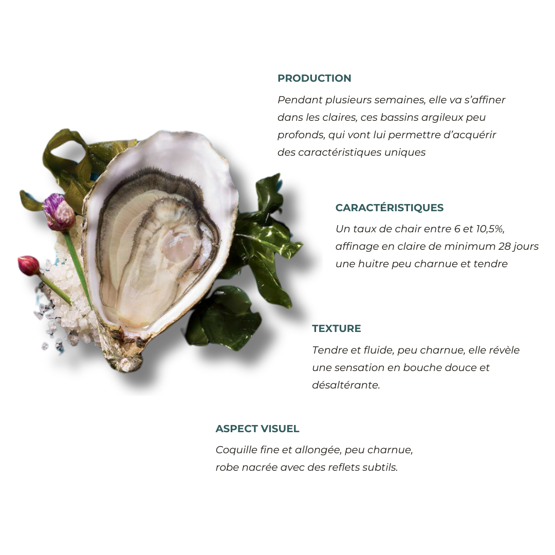 Fines de claire lamaison