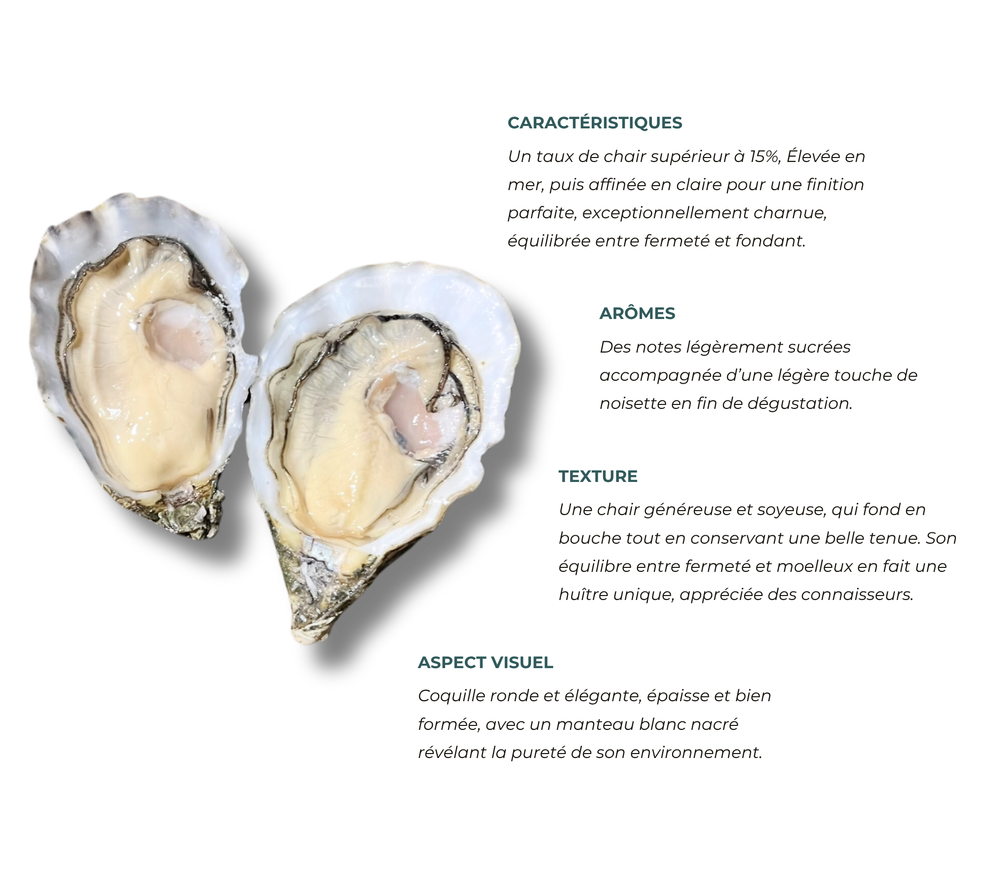 Préstige By Lamaison